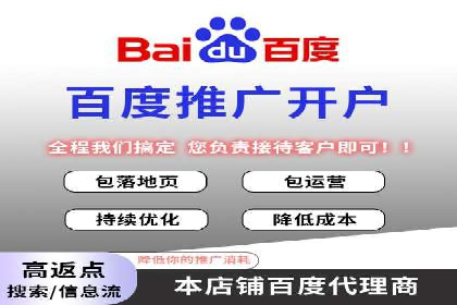 百度SEM推广策略：成功案例解析
